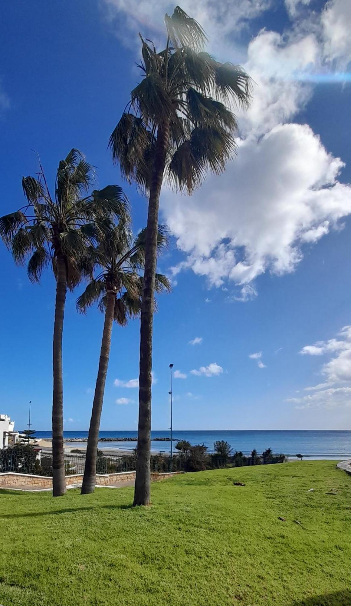 Residence Tamuda Golf A カボ・ネグロ エクステリア 写真